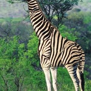 Meet your Posher, April